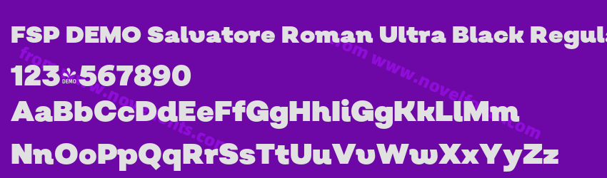 FSP DEMO Salvatore Roman Ultra Black RegularPreview FSP DEMO Salvatore Roman Ultra Black RegularPreview