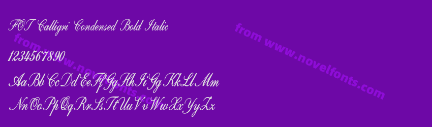FOT Calligri Condensed Bold ItalicPreview FOT Calligri Condensed Bold ItalicPreview