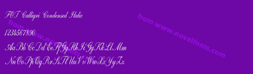 FOT Calligri Condensed ItalicPreview FOT Calligri Condensed ItalicPreview