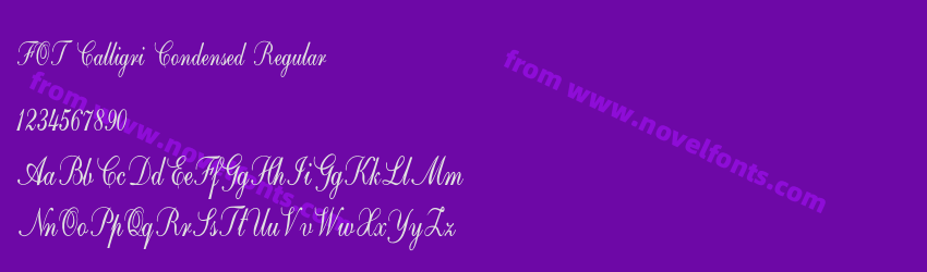 FOT Calligri Condensed RegularPreview FOT Calligri Condensed RegularPreview