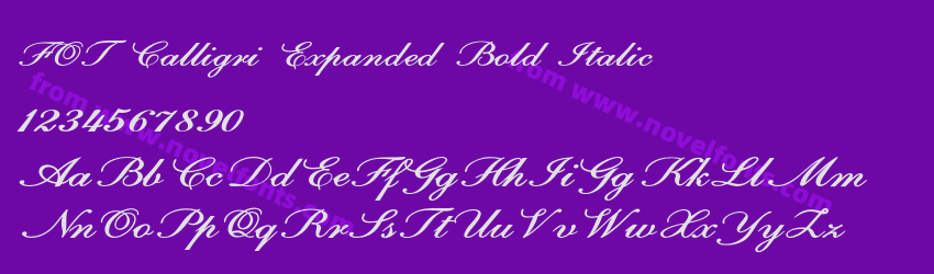 FOT Calligri Expanded Bold ItalicPreview FOT Calligri Expanded Bold ItalicPreview