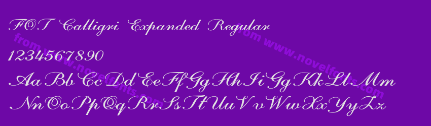 FOT Calligri Expanded RegularPreview
