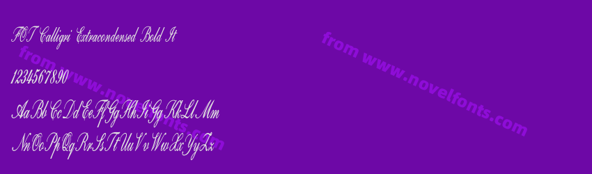 FOT Calligri Extracondensed Bold ItPreview FOT Calligri Extracondensed Bold ItPreview