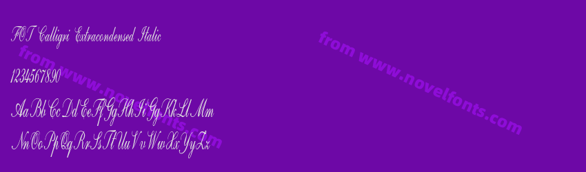 FOT Calligri Extracondensed ItalicPreview