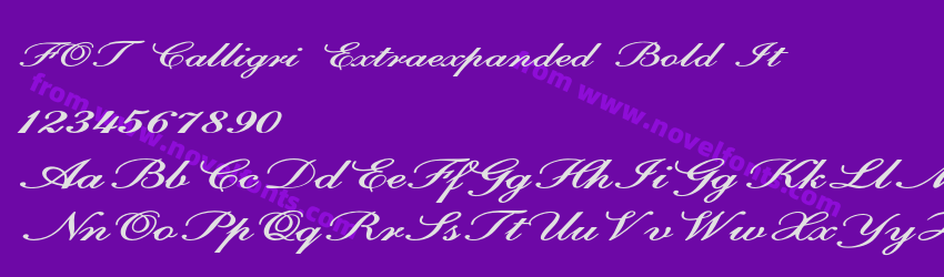 FOT Calligri Extraexpanded Bold ItPreview FOT Calligri Extraexpanded Bold ItPreview