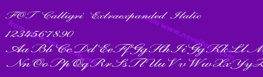 FOT Calligri Extraexpanded ItalicPreview FOT Calligri Extraexpanded ItalicPreview