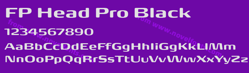 FP Head Pro BlackPreview FP Head Pro BlackPreview