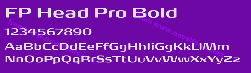 FP Head Pro BoldPreview FP Head Pro BoldPreview