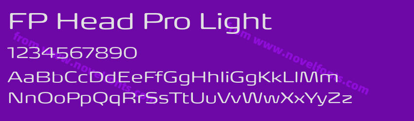 FP Head Pro LightPreview FP Head Pro LightPreview