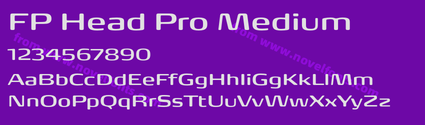 FP Head Pro MediumPreview