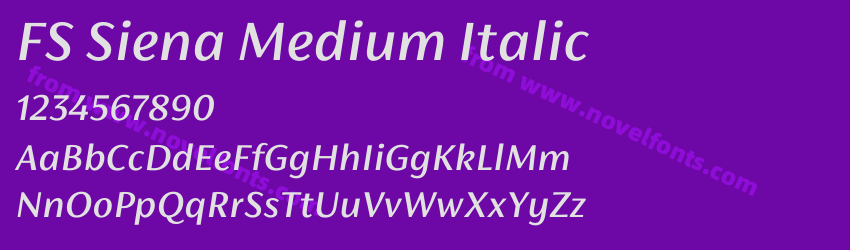 FS Siena Medium ItalicPreview