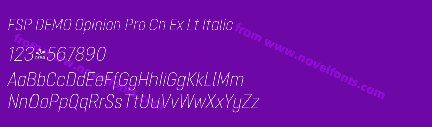 FSP DEMO Opinion Pro Cn Ex Lt ItalicPreview