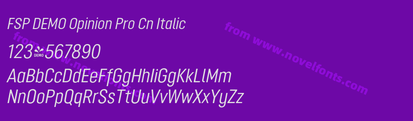 FSP DEMO Opinion Pro Cn ItalicPreview