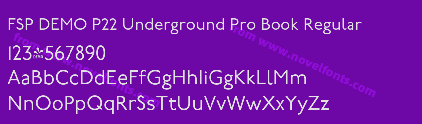 FSP DEMO P22 Underground Pro Book RegularPreview FSP DEMO P22 Underground Pro Book RegularPreview