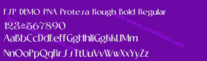 FSP DEMO PNA Protesa Rough Bold RegularPreview