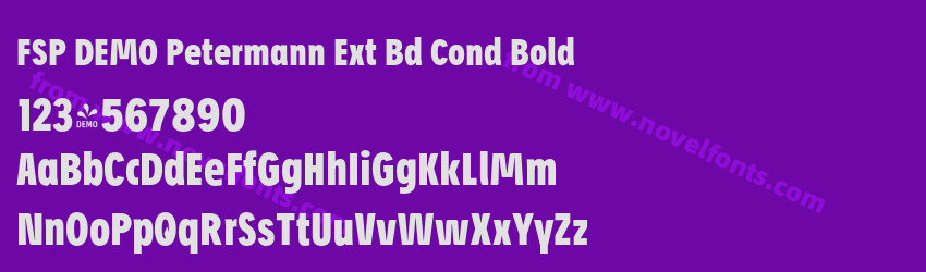 FSP DEMO Petermann Ext Bd Cond BoldPreview FSP DEMO Petermann Ext Bd Cond BoldPreview
