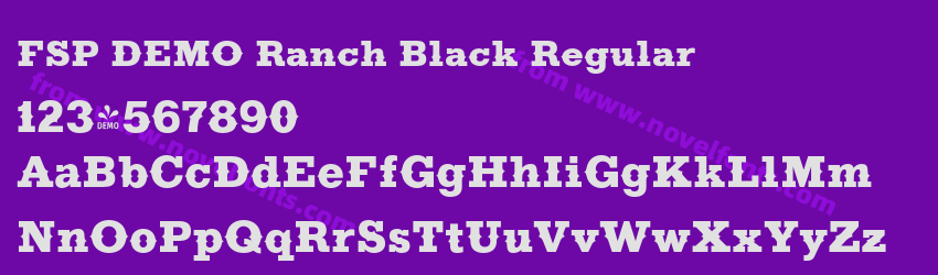 FSP DEMO Ranch Black RegularPreview FSP DEMO Ranch Black RegularPreview