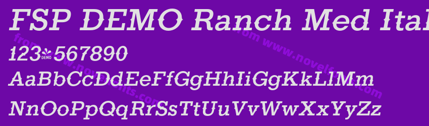 FSP DEMO Ranch Med ItalicPreview