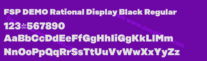 FSP DEMO Rational Display Black RegularPreview