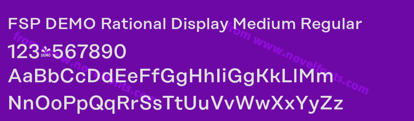 FSP DEMO Rational Display Medium RegularPreview FSP DEMO Rational Display Medium RegularPreview