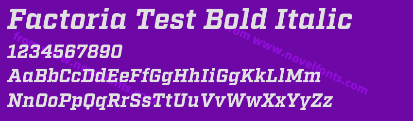 Factoria Test Bold ItalicPreview