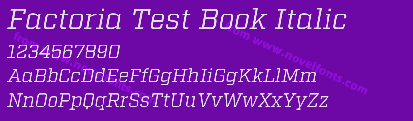 Factoria Test Book ItalicPreview Factoria Test Book ItalicPreview