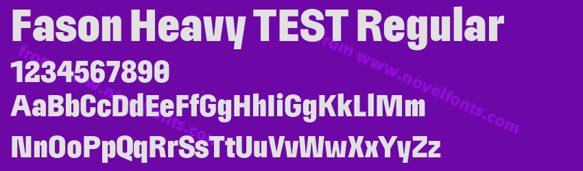 Fason Heavy TEST RegularPreview Fason Heavy TEST RegularPreview