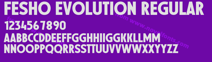 Fesho Evolution RegularPreview Fesho Evolution RegularPreview