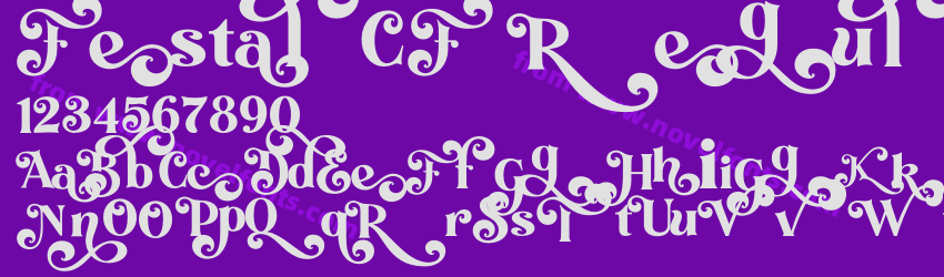 FestalCF RegularPreview
