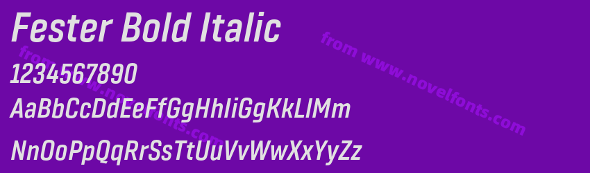 Fester Bold ItalicPreview Fester Bold ItalicPreview