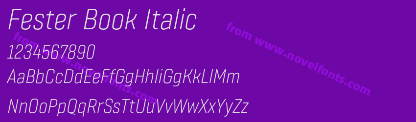 Fester Book ItalicPreview Fester Book ItalicPreview
