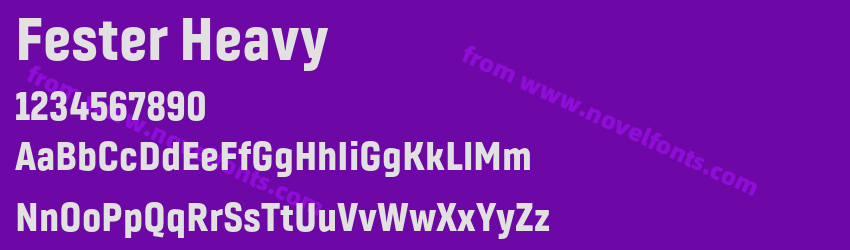 Fester HeavyPreview Fester HeavyPreview