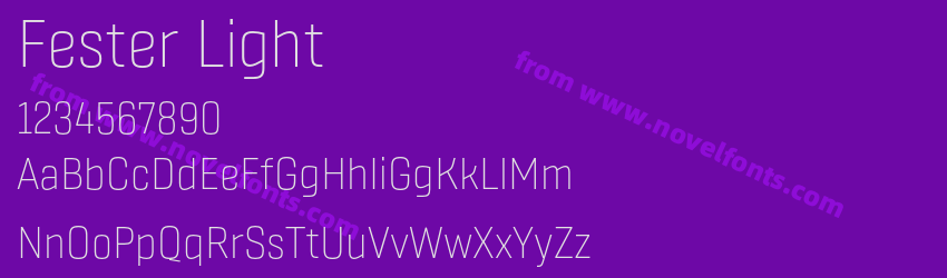 Fester LightPreview Fester LightPreview