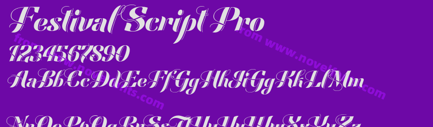 Festival Script ProPreview Festival Script ProPreview