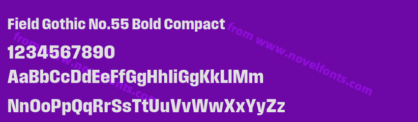 Field Gothic No.55 Bold CompactPreview Field Gothic No.55 Bold CompactPreview