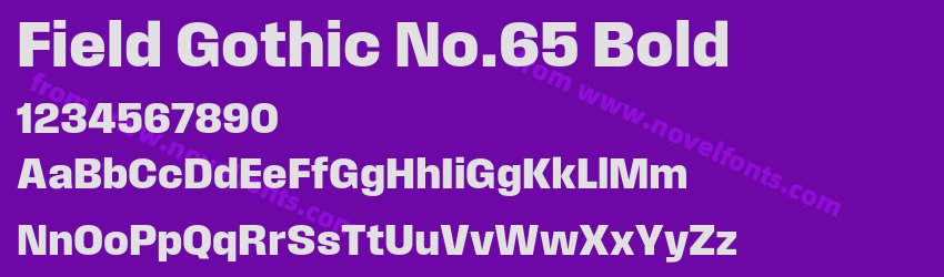 Field Gothic No.65 BoldPreview Field Gothic No.65 BoldPreview
