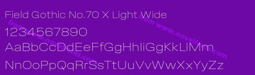 Field Gothic No.70 X Light WidePreview