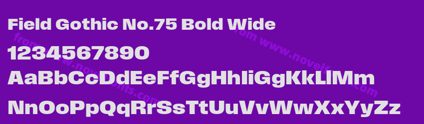 Field Gothic No.75 Bold WidePreview Field Gothic No.75 Bold WidePreview