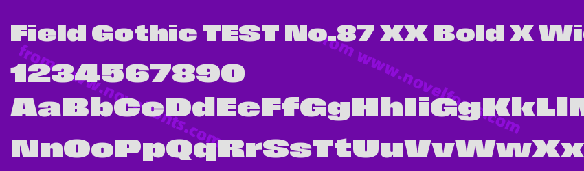 Field Gothic TEST No.87 XX Bold X WidePreview Field Gothic TEST No.87 XX Bold X WidePreview