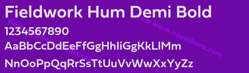 Fieldwork Hum Demi BoldPreview