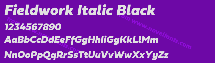 Fieldwork Italic BlackPreview Fieldwork Italic BlackPreview