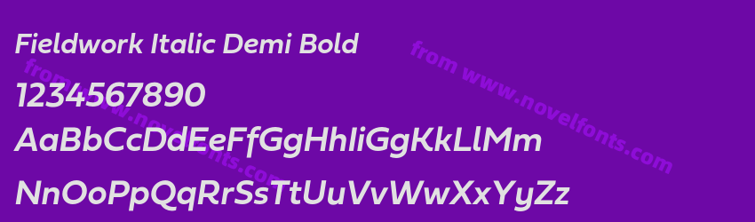 Fieldwork Italic Demi BoldPreview