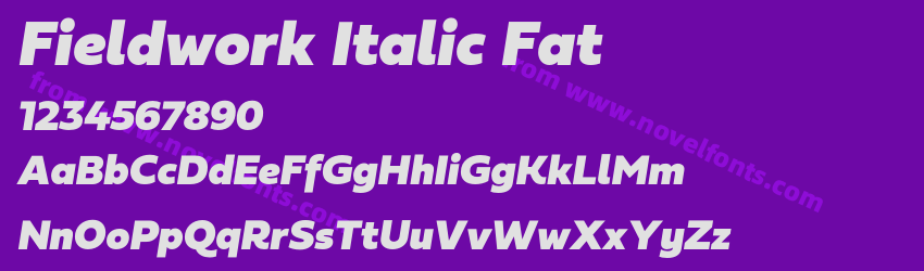 Fieldwork Italic FatPreview