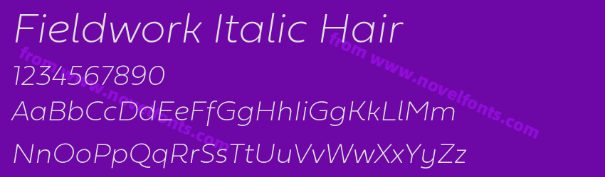 Fieldwork Italic HairPreview Fieldwork Italic HairPreview