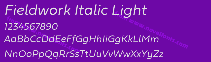 Fieldwork Italic LightPreview Fieldwork Italic LightPreview