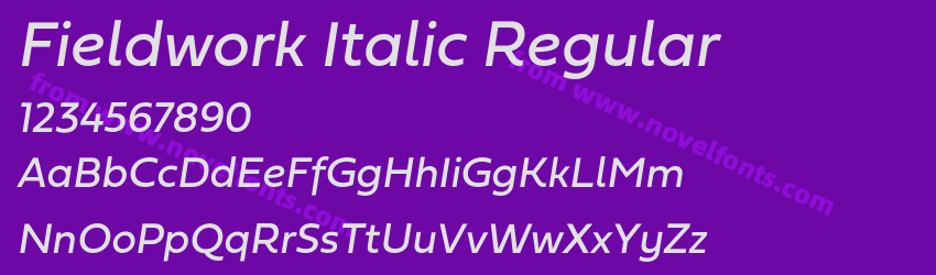 Fieldwork Italic RegularPreview Fieldwork Italic RegularPreview