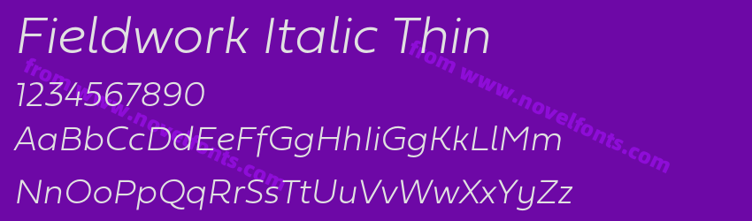 Fieldwork Italic ThinPreview