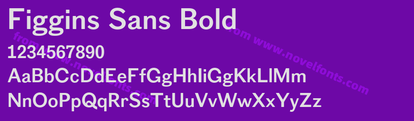Figgins Sans BoldPreview