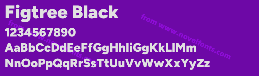 Figtree BlackPreview