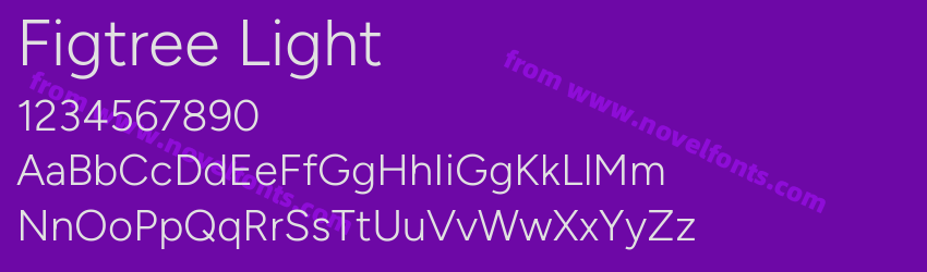 Figtree LightPreview Figtree LightPreview